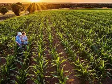 What are agrochemical adjuvants guide - Esteem Industries