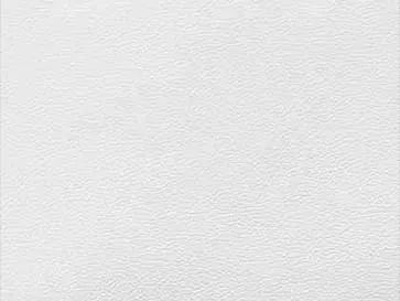 Liquid syntans for leather tanning applications - Esteem Industries