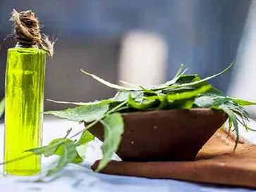 APEO-free neem oil emulsifiers for agro formulations - Esteem Industries