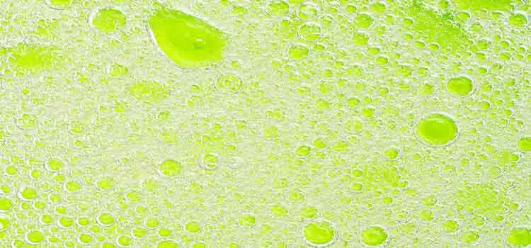 Surfactants molecular structure showing hydrophilic and hydrophobic groups - Esteem Industries