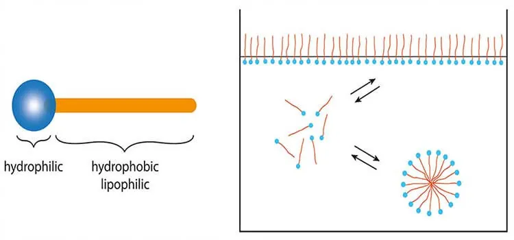 Nonionic surfactants demonstrating cloud point and temperature-dependent solubility - Esteem Industries