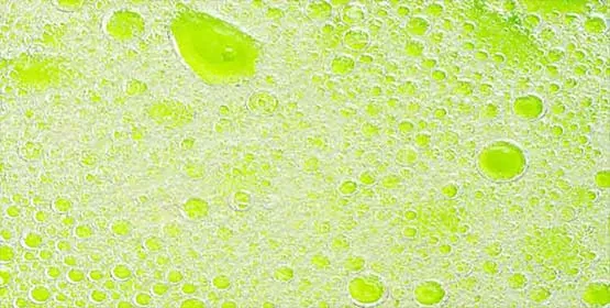 What is a surfactant — types, HLB and uses - Esteem Industries
