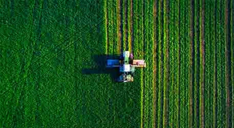 Agriculture chemicals and agro emulsifiers - Esteem Industries