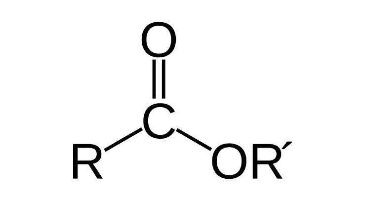 Best Emulsifiers for EC Formulations: NPE, Castor Oil Ethoxylates & Sorbitan Esters | Esteem - Esteem Industries