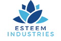 Esteem India